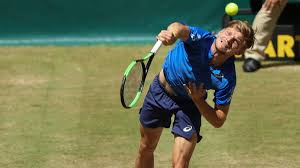 Sport news| atp rosmalen quarterfinal predictions including david goffin vs adrian mannarino. Atp Turnier In Halle Goffin Steht Im Finale Zdfheute