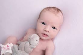 1864 CDH NEWSLETTER 21.12.17