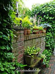 Pin On My Small Pretty Garden