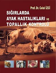 Sigirlarda Ayak Hastaliklari Ve Topallik Kontrolu Celal Izci