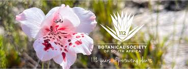 Image result for x Ruttyruspolia