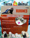Tierra Animal Tenerife - Disponible en nuestra tienda ...