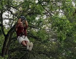 Gliding Along Treetop Trek Aerial Adventures Melbourne Fl Experience Nature Outdoor Adventure Ziplining