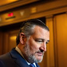 Why Texas Senator Ted Cruz may now be the perfect opponent for Democrats