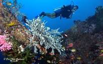 A Wreck, a Reef and a Blue Hole: Exploring Tablas and Romblon ...