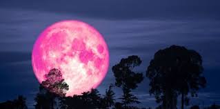 Pembe Ay Saat Kacta Cikacak Pembe Ay Ne Zaman 2021