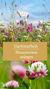 Blumenwiese Anlegen So Gehts In 2020 Blumenwiese Anlegen Blumen Wiese Blumenwiese