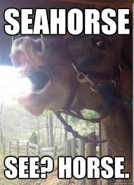 images?q=tbn:ANd9GcQHCnC1Q5J5aREMU8GjaF2