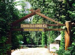 Conveniently located beside the menara kl tower, this forest reserve covers an area of approximately 11, 0000 sq metres and was founded in 1906. Kl Forest Eco Park A Rainforest And A Canopy Walkway In The City Centre Kualalumpurkids