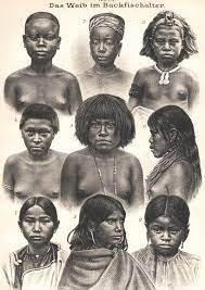 Das Weib im Backfischalter. Mincopie-Mädchen (Andamanen), Ga-Mädchen  (Accra, Goldküste), Samoa-Mädchen,… by Holzstich - Paperback - 1902 - from  Kastanienhof (SKU: BB60766)