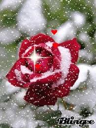 Discover and share the best gifs on tenor. 60 Richies Pictures Ideas Beautiful Gif Beautiful Roses Flowers Gif