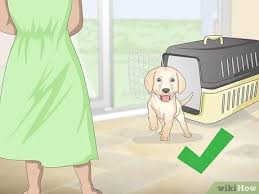 You should pick a spot that is not. 3 Ways To Potty Train Small Dogs Wikihow
