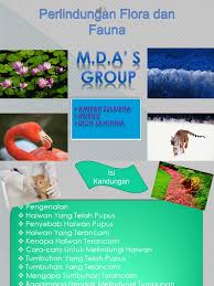 Perlindungan sengit landak dari predator | flora dan fauna indonesiahallo, sahabat flora dan fauna indonesia, sahabat pasti tahu, hewan yang berduri dan. Perlindungan Flora Dan Fauna