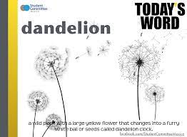 Dandelion Today S Word Dandelion Words Wild Plants