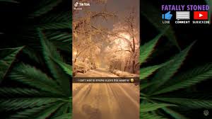 Fatally Stoned Weed Memes And Fails 86 Pot Tv