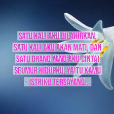 Ucapan selamat pagi yang indah. 235 Kata Kata Romantis Buat Istri Tercinta Dan Solehah Diedit Com