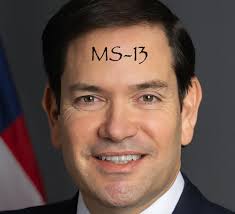 Mehdi Hasan: "To be clear, nothing