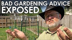 Garden frame zum kleinen preis hier bestellen. Bad Gardening Advice Exposed Black Gumbo Youtube