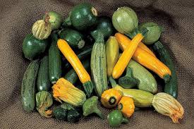 As a type of summer squash, the fruit of the zucchini plant is. How To Grow Courgettes Rhs Gardening
