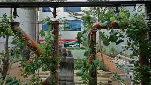 Punya rencana ingin memiliki kebun di rumah sendiri, tapi kondisi halaman rumah sangat sempit. Perhatikan 3 Hal Ini Saat Berkebun Di Rumah Surabaya Liputan6 Com