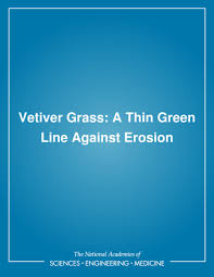 Fertilizing programs increase growth, which means more mowing and more clippings. 6 Next Steps Vetiver Grass A Thin Green Line Against Erosion The National Academies Press