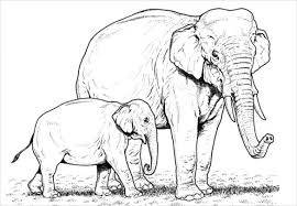 Select from 35602 printable coloring pages of cartoons animals nature bible and many more. 22 Animal Coloring Pages Psd Ai Vector Eps Free Premium Templates