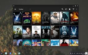 Burada yeni ve acemi doktorlar için en zorlu doktorluk ihtisas devresi programlarından biri uygulanıyor. Ttv On Chromebook Terrariumtv