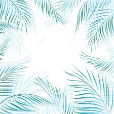 Summer pretty stock vectors, clipart and illustrations. Tropical Summer Beautiful Background With Bright Palm Leaves Royalty Free Cliparts Vectors And Stock Illustration Image 77761680