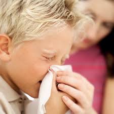 Nosebleeds Types Of Bleeds Treatment Hog Handbook Hemophilia Of Georgia