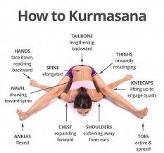 Pin On Yoga Yoga Pose Yoga For Beginners