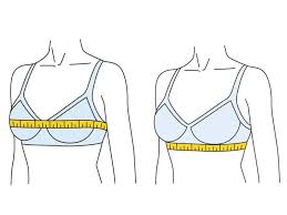But, anyone who's found the one knows that a good bra is essential to feeling and looking great. How To Measure Your Bra Size Perfectly Styles At Life