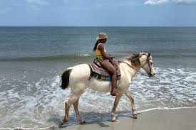 48 Hours in Amelia Island: How to spend the perfect weekend in Amelia  Island, Florida - Oneika the Traveller