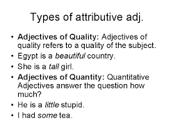 Adjectives are words that describe the kind of noun, its quality, amount, quantity, state etc in the sentence. Adjectives In English Definition Of Adjective The Adjective