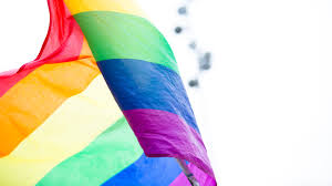Search free wallpapers, ringtones and notifications on zedge and personalize your phone to suit you. Lgbt Statistics For 2021