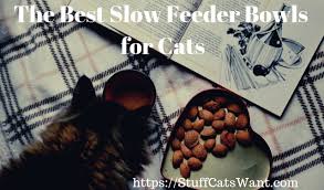 Slow feeders are a wonderful invention as they stimulate natural hunting behavior, thus preventing boredom. The 11 Best Slow Feeder Cat Bowls 2021 Stop Vomiting Now