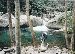 With only 12 tent sites, big creek is the smallest campground in the park. Big Creek Trail Great Smoky Mountains National Park 2021 All You Need To Know Before You Go With Photos Tripadvisor