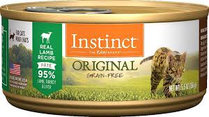 That means that your cat could eat the same amount of food as she currently does, but start to gain weight. Best High Calorie Cat Food For Weight Gain Wet And Dry Brand Reviews