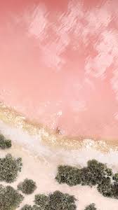 Rose Gold Cool Wallpaper For Iphones
