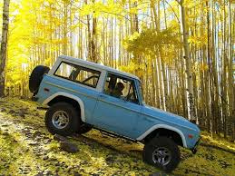 Image result for Medium Blue 1980 Bronco