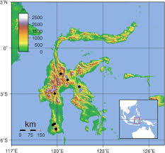 Image result for Nesaea pygmaea