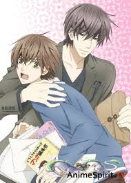 лучшая в мире первая любовь смотреть онлайн 1 сезон Luchshaya V Mire Pervaya Lyubov 2 Sekaiichi Hatsukoi 2 Smotret Onlajn