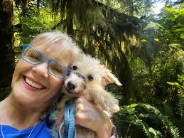 hiking with older dogs