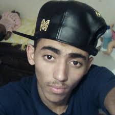 The fox wanted to steal some deer meat that the cheetah has already hunted,  but he didn't succeed.