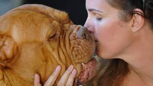 Best of 2014 photos: Tim Shortt