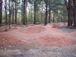 Maybe you would like to learn more about one of these? Santos Trailhead Campground Florida State Parks