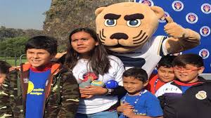 Pumas tiene nueva mascota y no es goyo. Los Pumas De La Unam Se Unen Al Dia Internacional Del Voluntario Unam Global