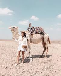Comment must not exceed 1000 characters. Camels