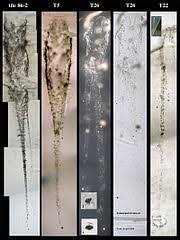 Selectează luna ianuarie 2021 decembrie 2020 noiembrie 2020 octombrie 2020 septembrie 2020 august 2020 iulie. 15 Ianuarie Wikipedia