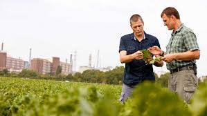 Identificator unic la nivel european; SubvenÈ›iile Apia Cum Se AcordÄƒ È™i Cine BeneficiazÄƒ De Ele Basf Agricultural Solutions Romania