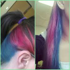 Pink And Blue Hair Bottom Half Bright Hair Colors Pink Hair Colored Highlights